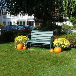 green bench, pumpkins, yellow flowers