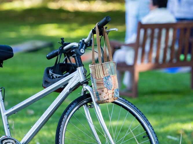 bicycle in the park