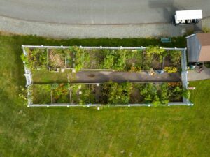 overhead view of a garden